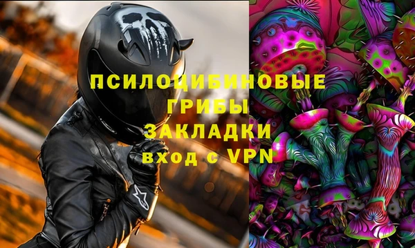 прущая мука Богородск