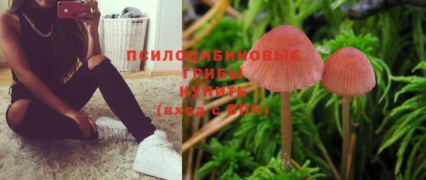 соль курить ск Богородицк