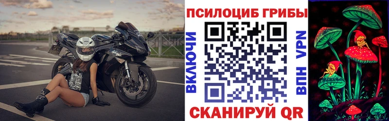 Псилоцибиновые грибы Cubensis  Долгопрудный 